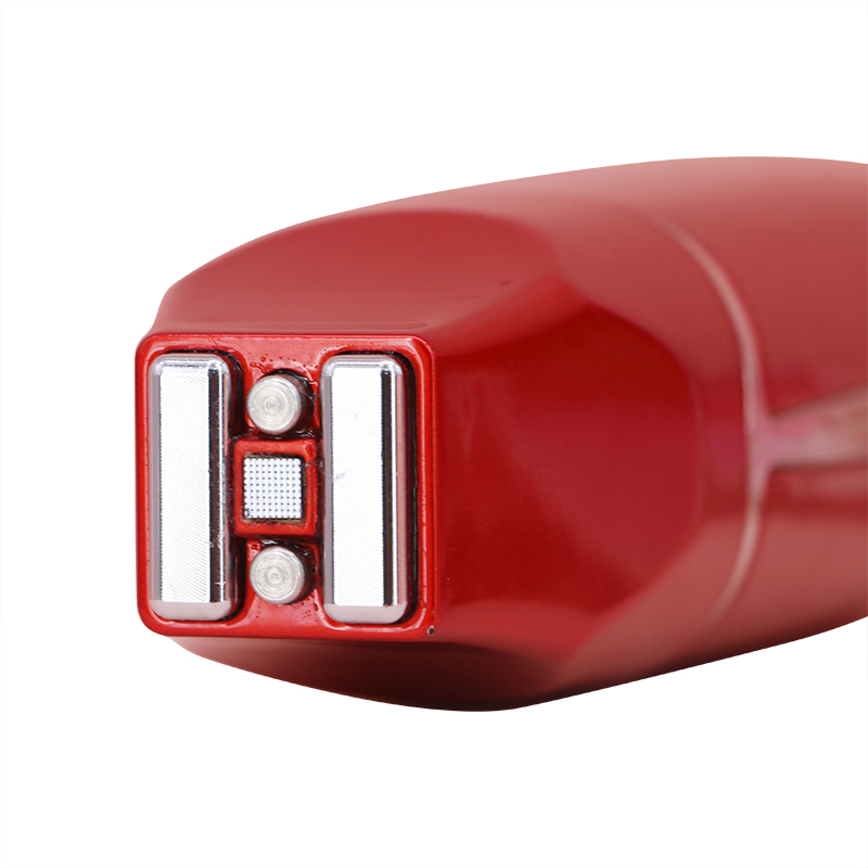 3 in 1 EMS+RF+Microneedle Facial Firming and Anti-Aging Device Anti-Wrinkle Home Beauty Device