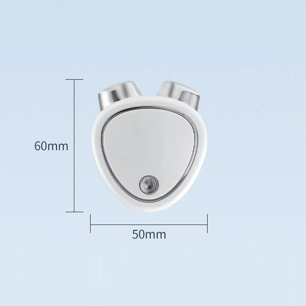Home Portable Ion Face Vibration EMS Microcurrent Facial Lifting Toning Skin Care Beauty Device