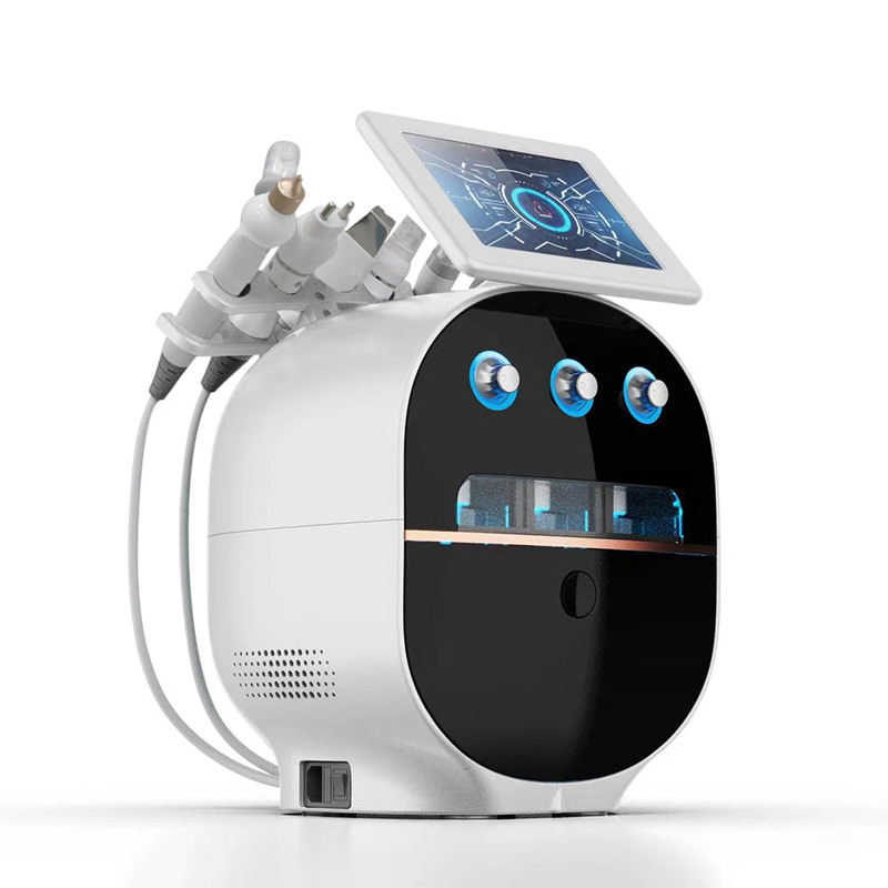 6 in 1 Hydrogenoxygen Small Bubbles Multifunction Facial Skin Care Machine