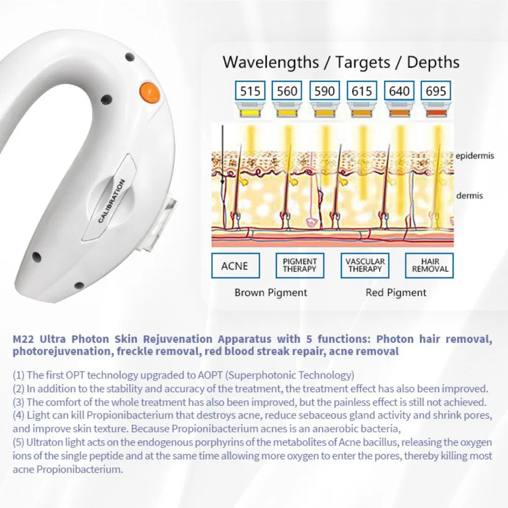 M22 Beauty Machine Pigment Removal Skin Tightening with 2 Handles Other Home Use Beauty Equipment
