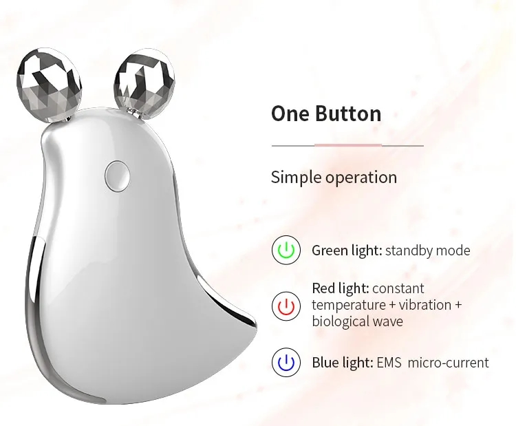 Portable Face Massager Skin Lifting Tightening Constant Heating Vibration Microcurrent Nutrition Absorbtion EMS Vibration Facial Roller