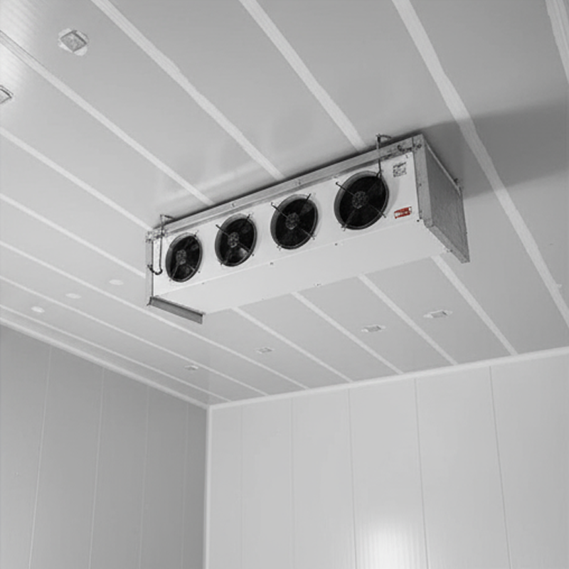 Best Factory 20FT 40FT Commercial Supermarket Standard Industrial Negative Low Temperature Freezer Cold Storage Room