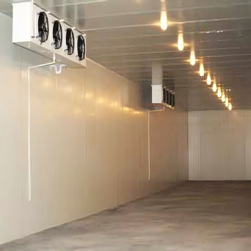 Best Factory 20FT 40FT Commercial Supermarket Standard Industrial Negative Low Temperature Freezer Cold Storage Room