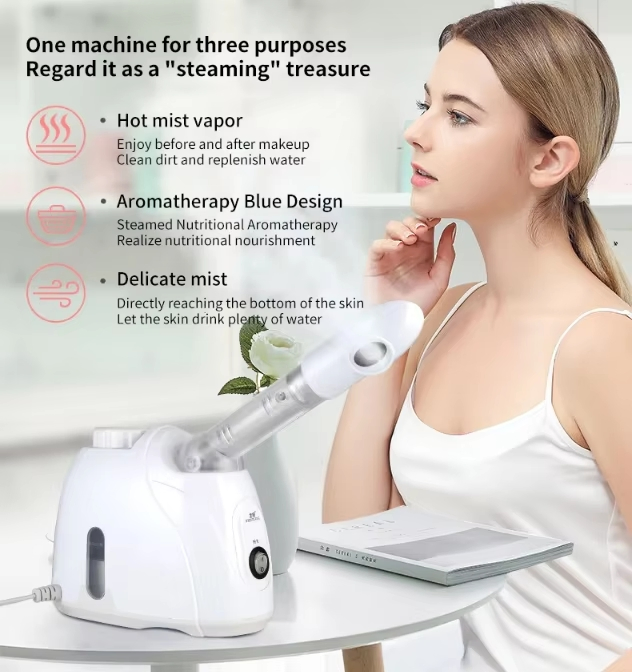 Professional Care Mini Appliances Face Nose Hot SPA Steamer Humidifier Vapozone Machine Nano Mist Spraer Facial Steamers