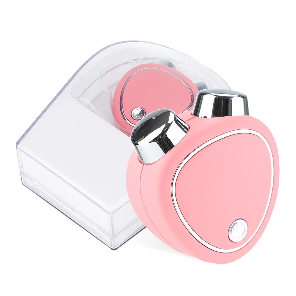 Home Portable Ion Face Vibration EMS Microcurrent Facial Lifting Toning Skin Care Beauty Device