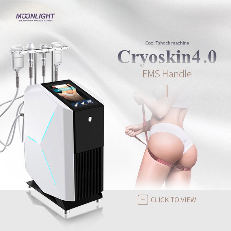 Cryo Slim T Shock Fat Reduce Beauty Body Slimming Machine Cold Thermal EMS Function Cryoskin Therapy Device