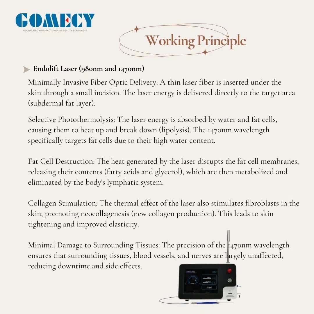 980nm 1470nm Popular Medical Level Laser for Endolift Treatment Lipolysis