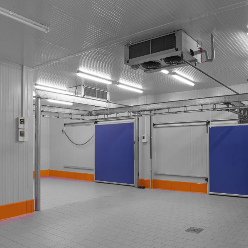 Best Factory 20FT 40FT Commercial Supermarket Standard Industrial Negative Low Temperature Freezer Cold Storage Room