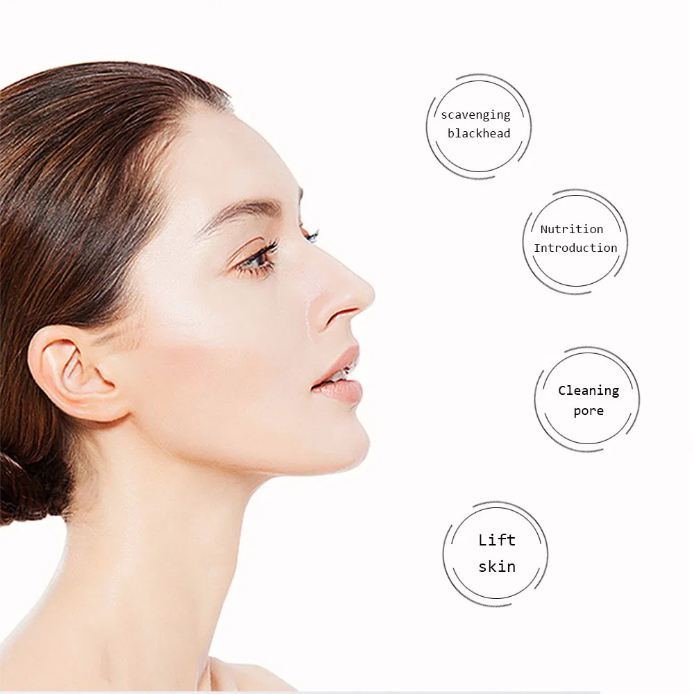 Handheld Face Spatula Cleaning Ultrasonic Skin Scrubber with Mist Spray for Pore Cleaner