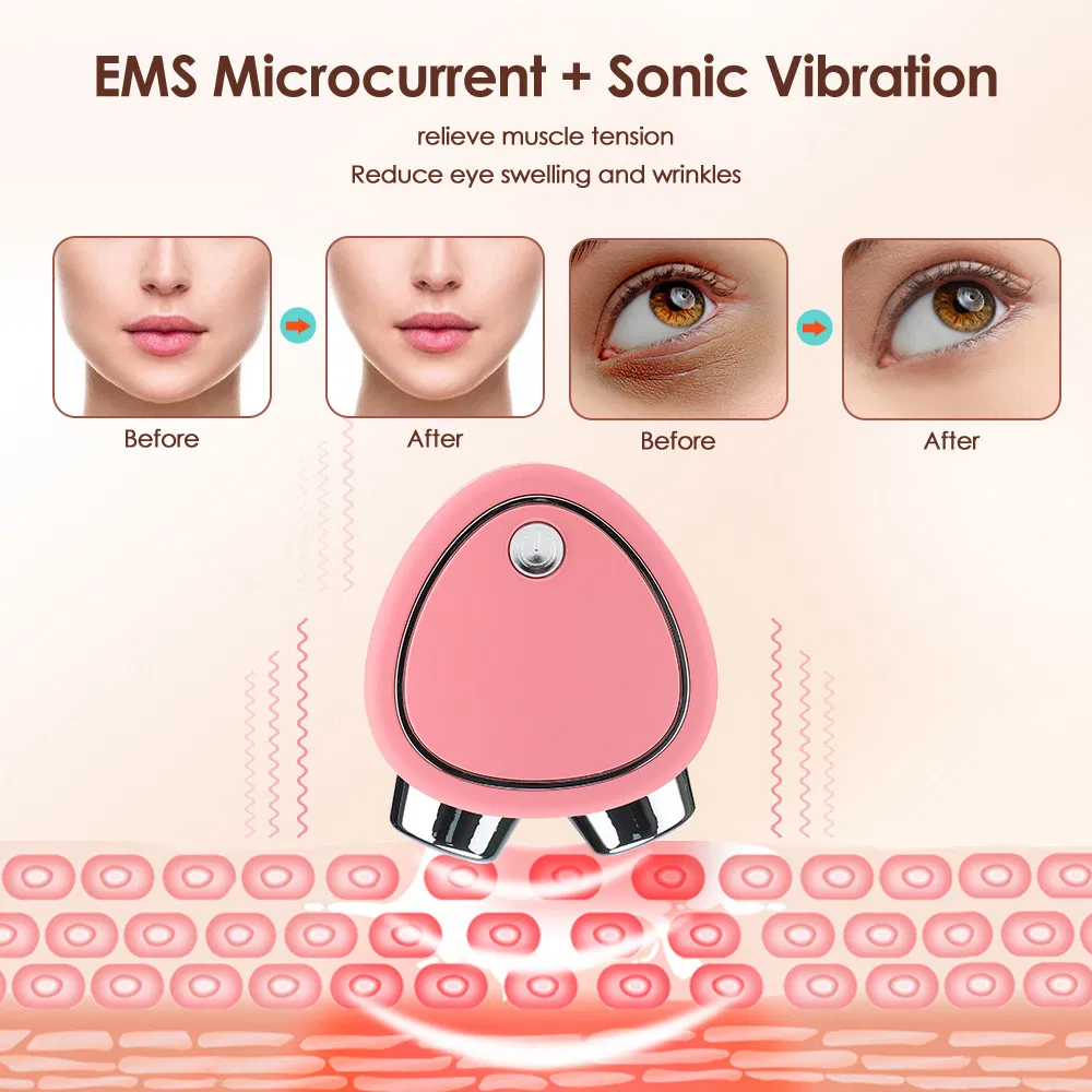 Home Portable Ion Face Vibration EMS Microcurrent Facial Lifting Toning Skin Care Beauty Device