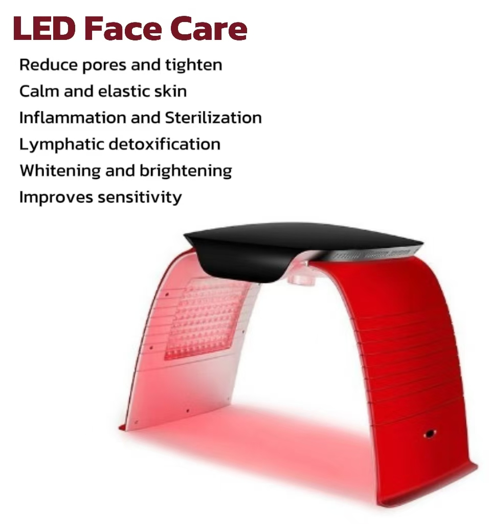 Portable PDT LED Light Therapy for Facial Skin Rejuvenation Red Light Therapy Device with Spray