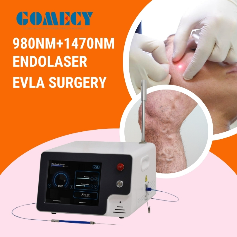 Gomecy 980nm 1470nm Laser for Face Lifting Evlt Lipolysis Medical Skin Beauty