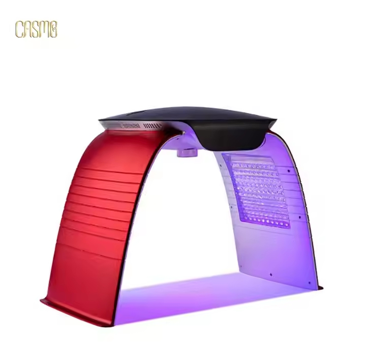 Portable PDT LED Light Therapy for Facial Skin Rejuvenation Red Light Therapy Device with Spray