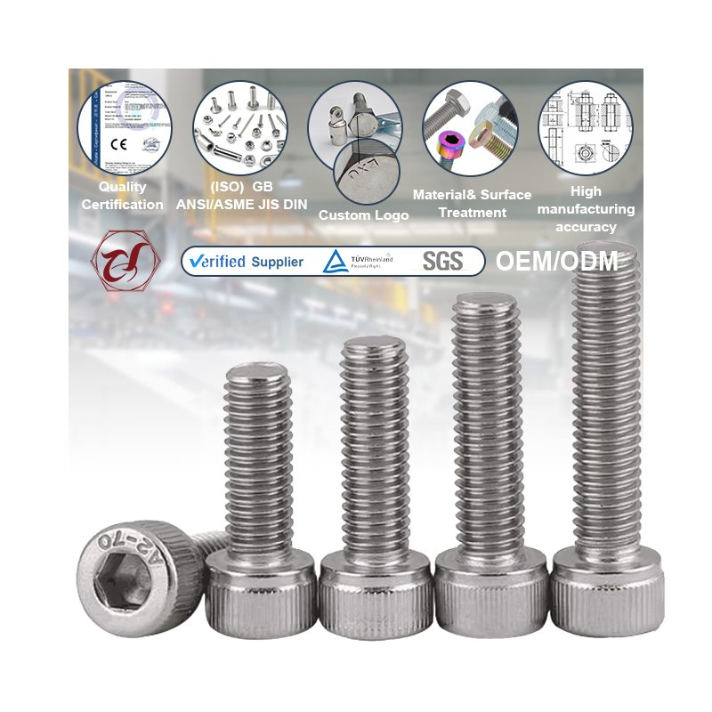 Custom Special Fastener Stainless Steel A2/A4 Hex Machine Screws Inox AISI 304/316 Hexagon Head Bolts Hex Bolt and Nut Cold Forming Parts Assembly Parts