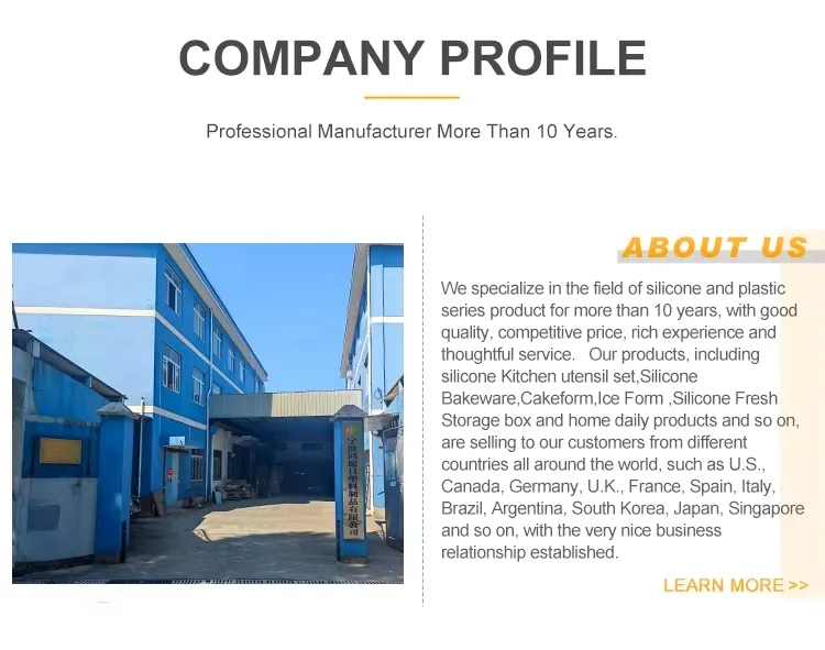 Cleansing Brush Usage 1