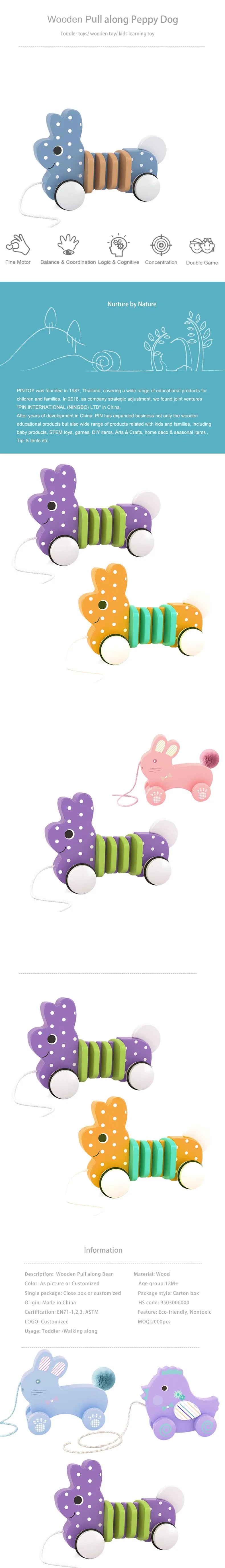 Interactive Wooden Push & Pull Toy for Kids' Learning