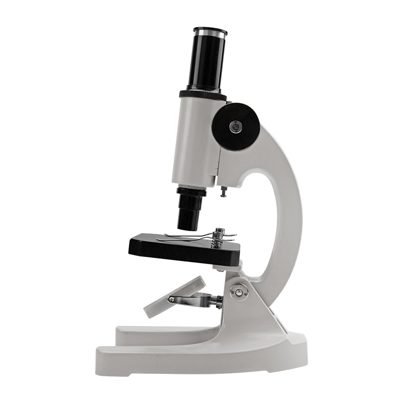 Microscope Detail View 2