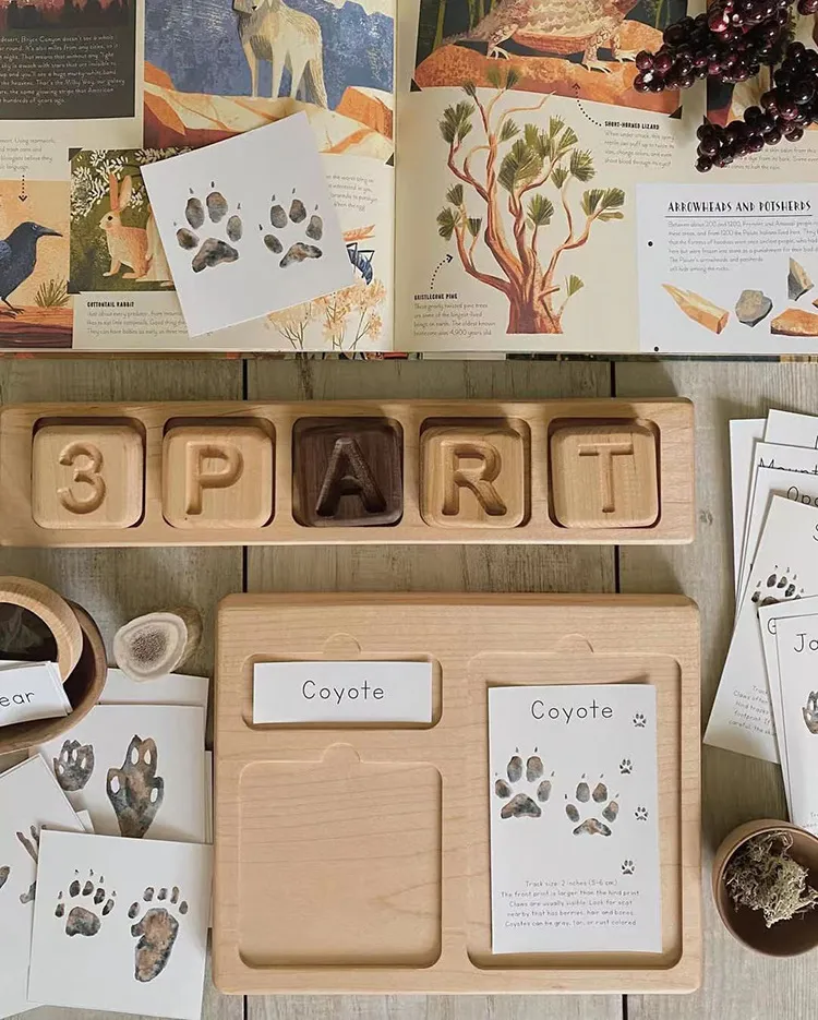 Kids Three-Part Card Tracing Board Toy for Early Learning Fun