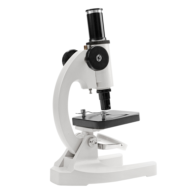 Microscope Detail View 6