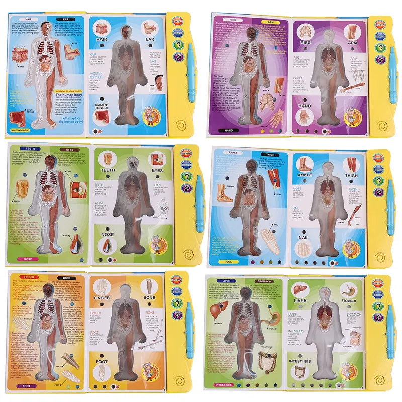 Educational Toys Kids Human Anatomy E-book Interactive Sound Book Educational Learning Machine for Toddlers