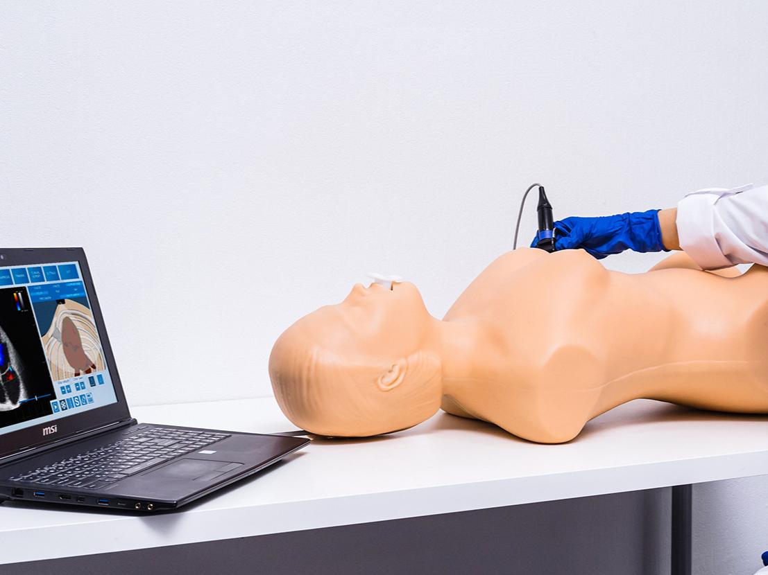 MEDVISION SONOVision Medical Grade Silicone Medical Science Anatomical Model Training Simulator CE Certified For Hospital School