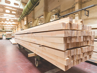 Wood material selection