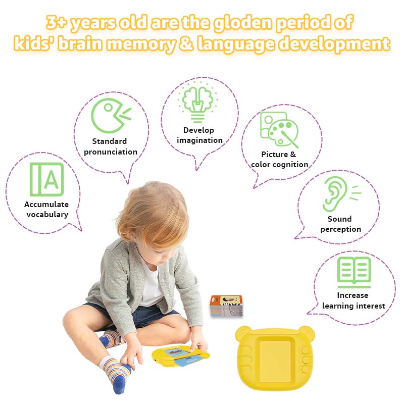 Talking flash cards product details 9