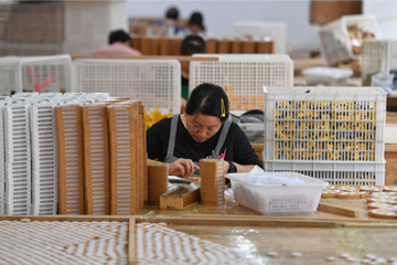 Protective packaging technology