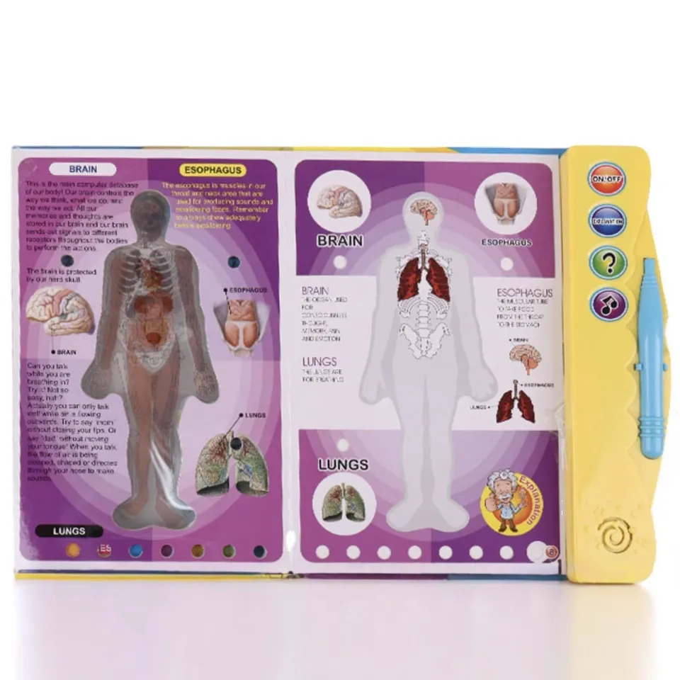 Educational Toys Kids Human Anatomy E-book Interactive Sound Book Educational Learning Machine for Toddlers
