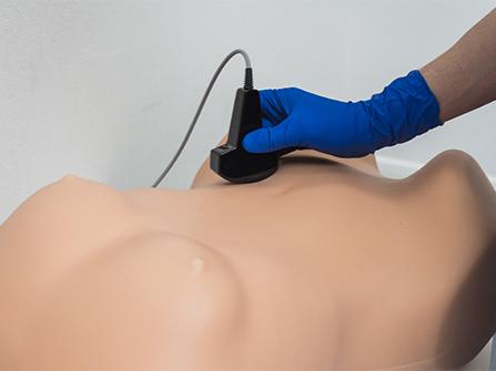 MEDVISION SONOVision Medical Grade Silicone Medical Science Anatomical Model Training Simulator CE Certified For Hospital School