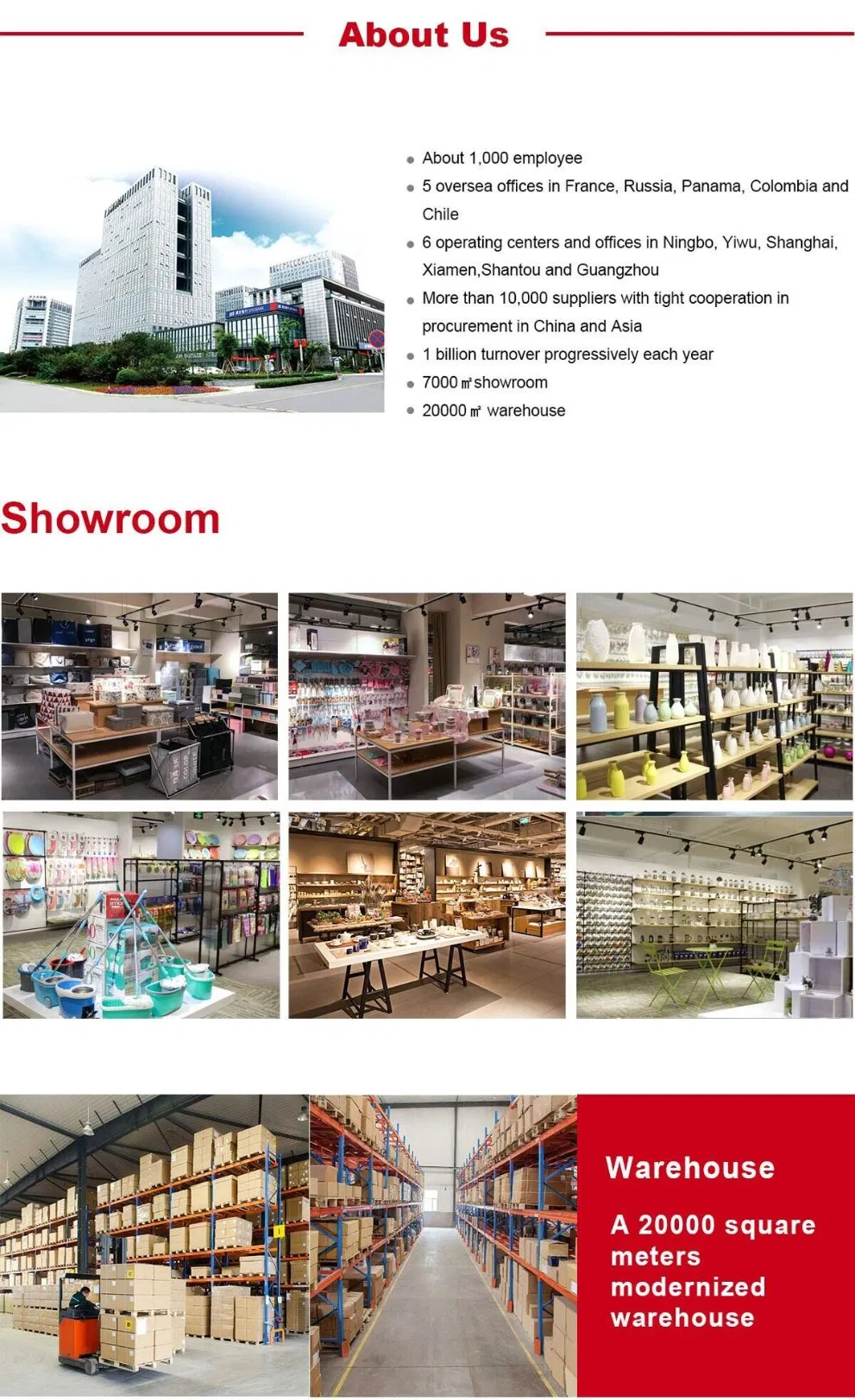 Company Profile Details 1