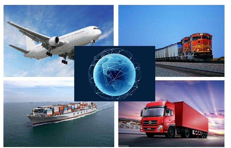 Shipping logistics and delivery options