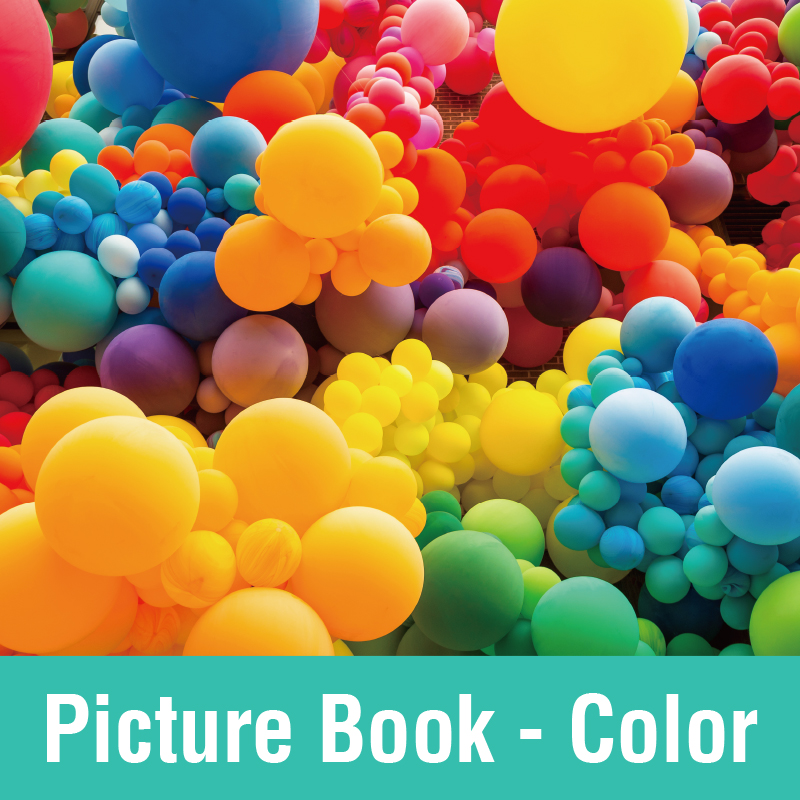 Montessori Color Play Set Wooden Stacking Toy Rainbow Color Recognition Book Educational Box For Kids