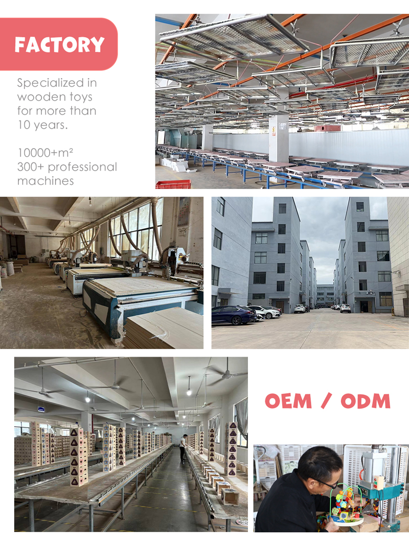 Our services