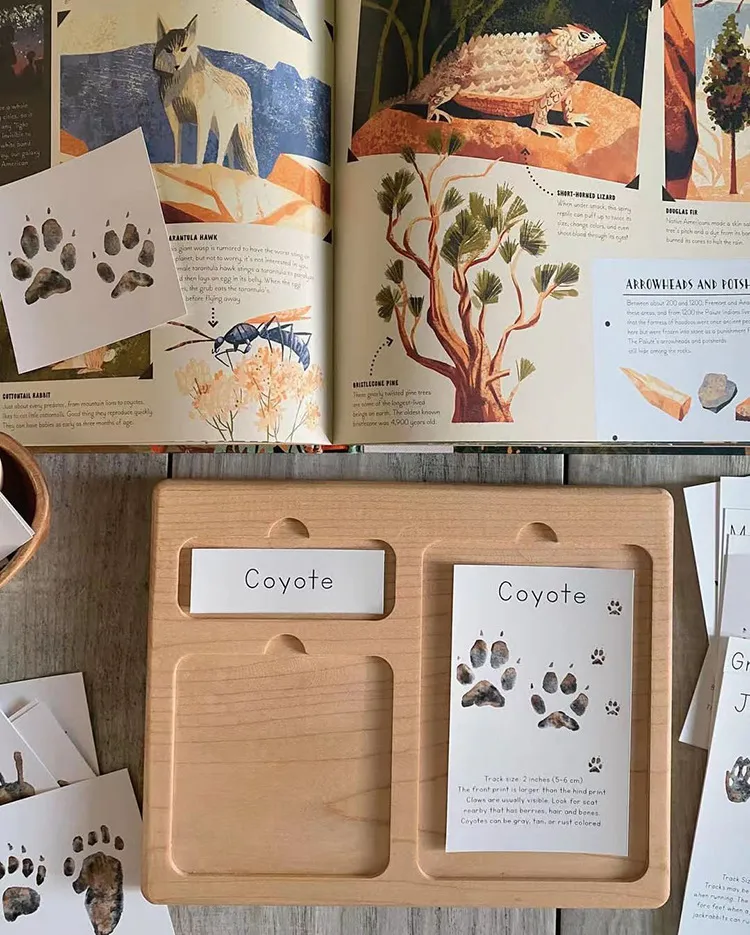 Kids Three-Part Card Tracing Board Toy for Early Learning Fun
