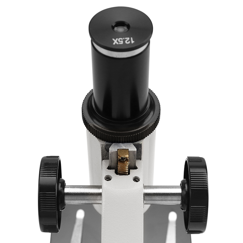 Microscope Detail View 8