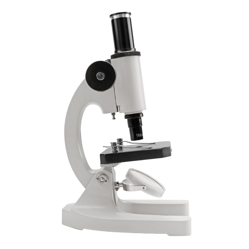 Microscope Detail View 5