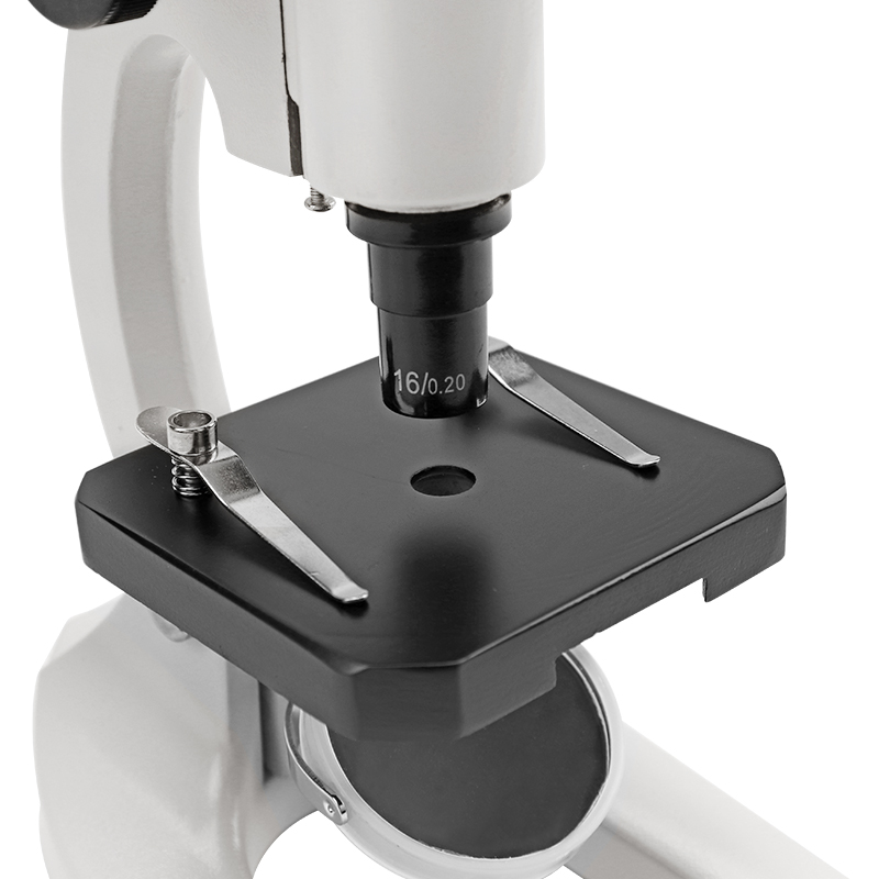 Microscope Detail View 9