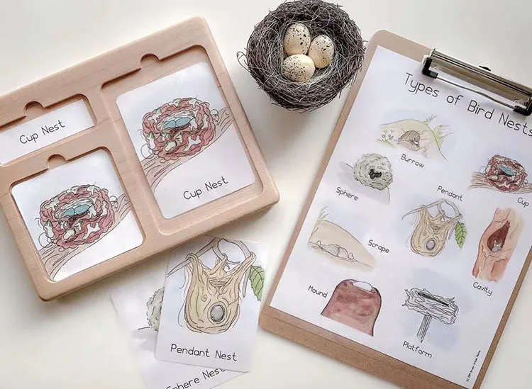 Kids Three-Part Card Tracing Board Toy for Early Learning Fun