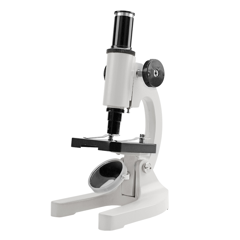 Microscope Detail View 1
