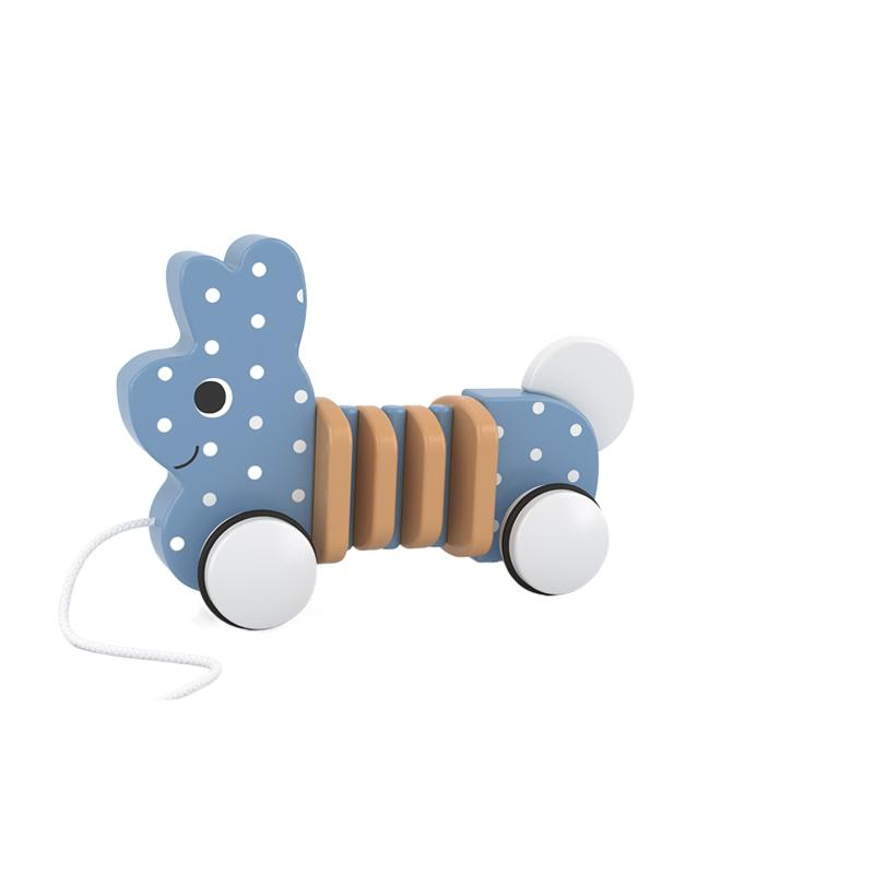 Interactive Wooden Push &amp; Pull Toy for Kids' Learning