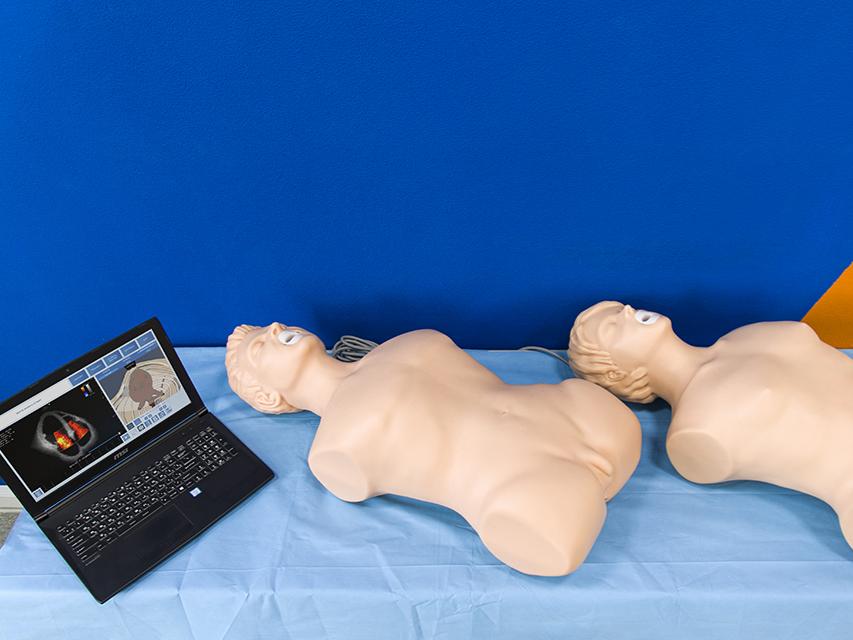 MEDVISION SONOVision Medical Grade Silicone Medical Science Anatomical Model Training Simulator CE Certified For Hospital School