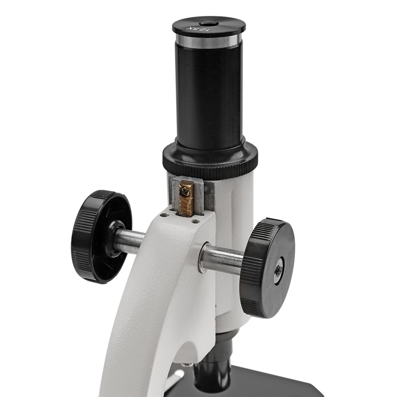 Microscope Detail View 7