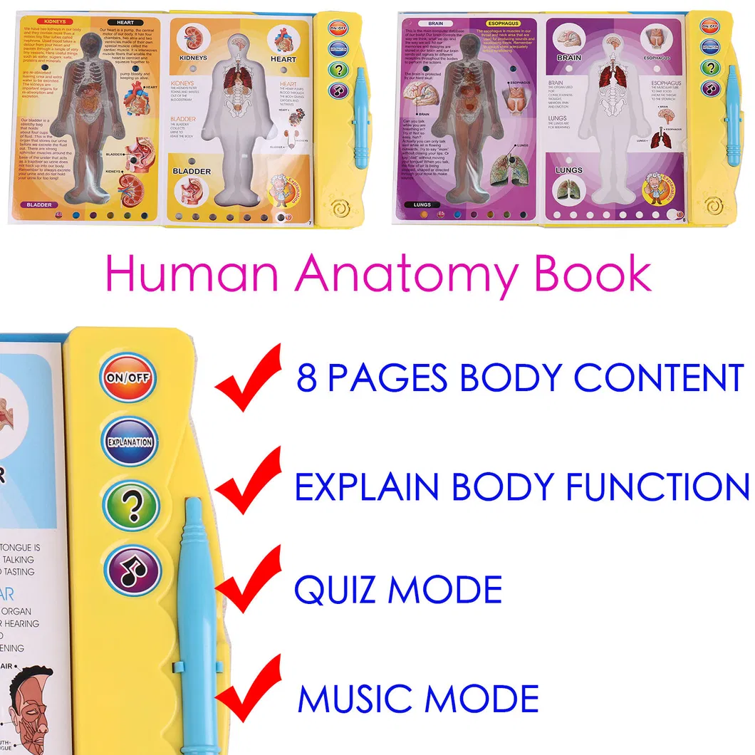 Educational Toys Kids Human Anatomy E-book Interactive Sound Book Educational Learning Machine for Toddlers