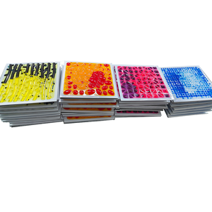 Educational Sensorial Toys Liquid Sensory Mat Massage Game Mats for Kids Autistic Children Gel Filled Textured Play Mats 30c'm