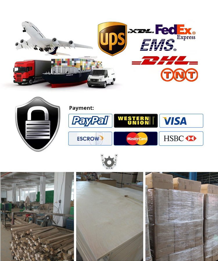 Packaging Details and Logistics Info