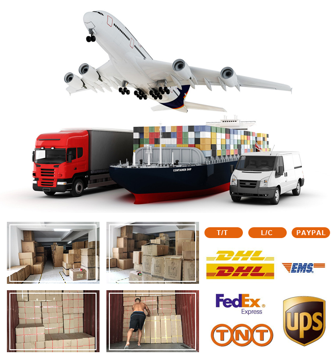 Shipping Information
