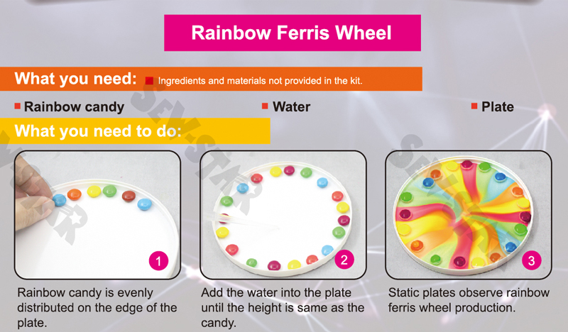 Rainbow Lab Product View 8