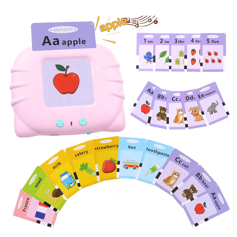 Educational Cognition Flash Card Display 1