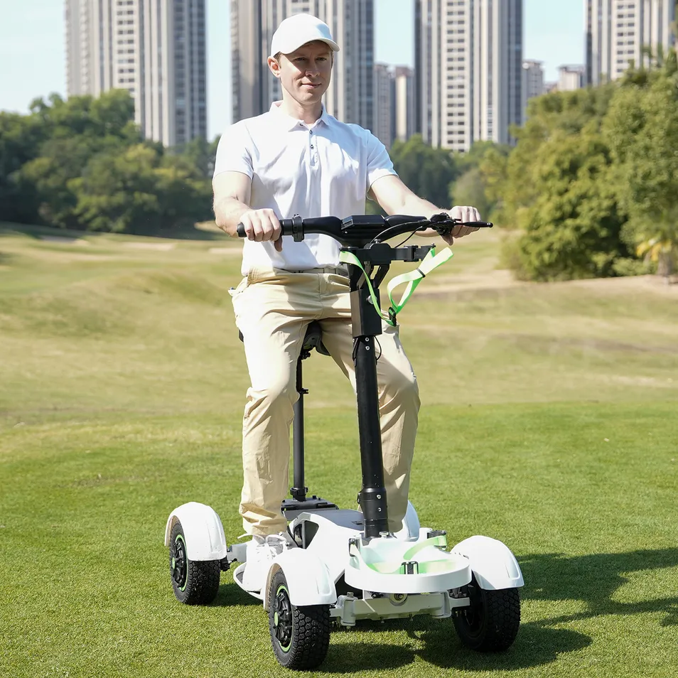 Golf Scooter Detail 2